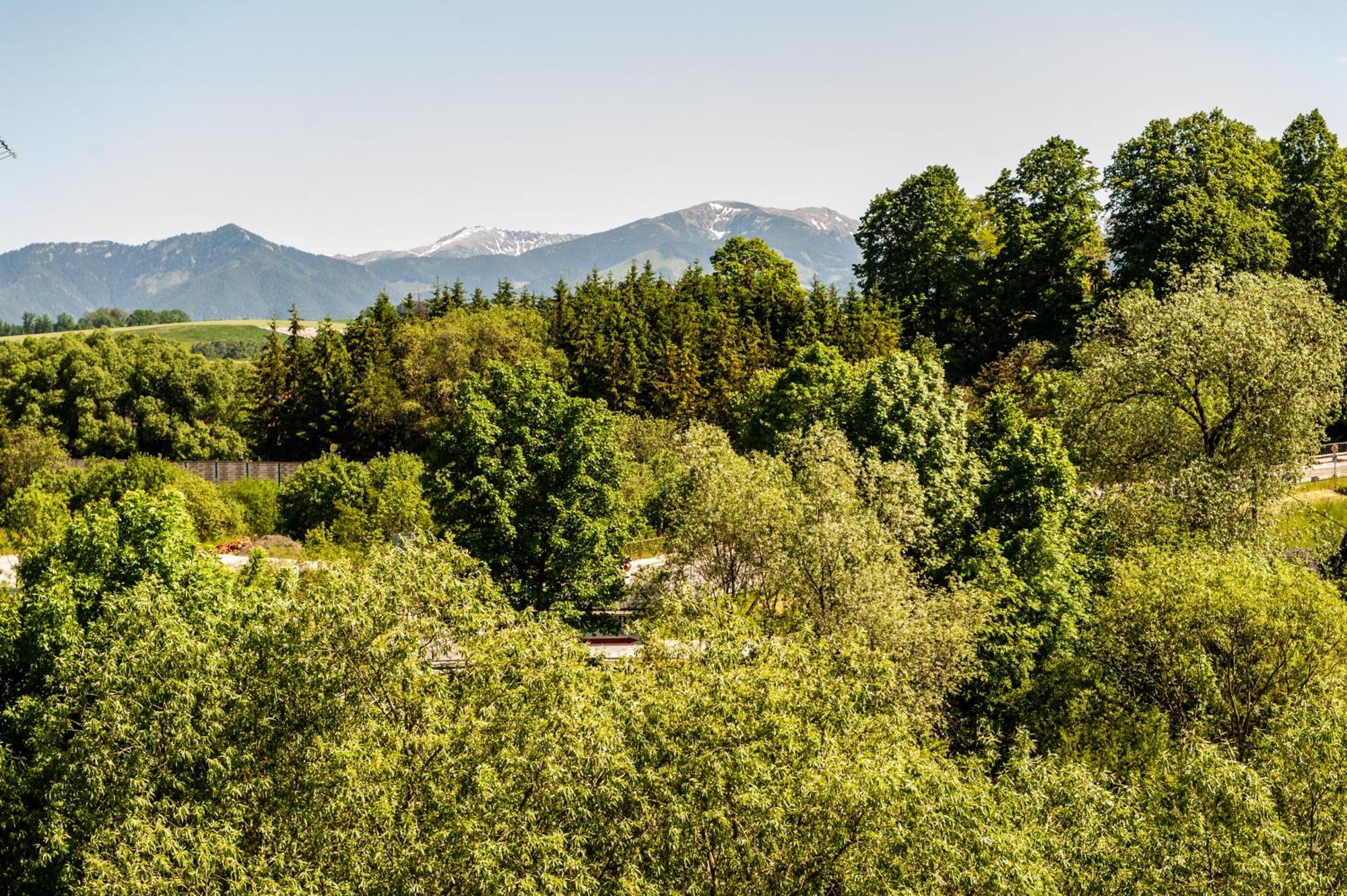 Apartmany Besen Bešeňová Esterno foto
